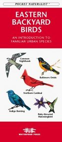 Eastern Backyard Birds: An Introduction to Familiar Urban Species (Pocket Naturalist)
