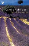 Der Olivenhain. Liebe in der Provence.
