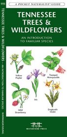Tennessee Trees & Wildflowers (Pocket Naturalist - Waterford Press)
