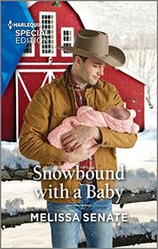 Snowbound with a Baby (Dawson Family Ranch, Bk 12) (Harlequin Special Edition, No 3009)