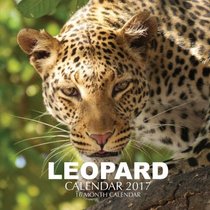 Leopard Calendar 2017: 16 Month Calendar