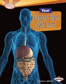 Your Digestive System (Searchlight Books: How Does Your Body Work?)