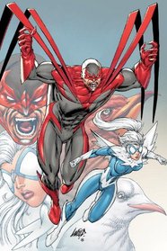 Hawk and Dove Vol. 1: First Strikes (The New 52)