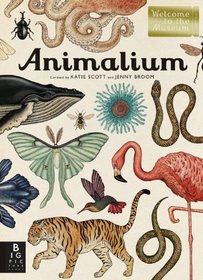 Animalium: Jenny Broom (Welcome to the Museum)