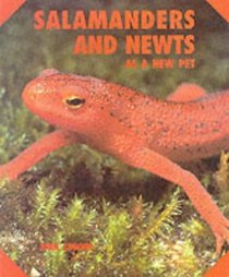 Salamanders and Newts As a New Pet