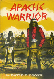 Apache Warrior