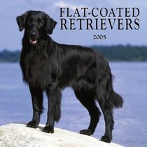 Flat-Coated Retrievers 2005 Wall Calendar