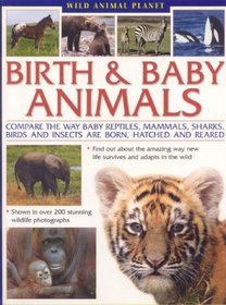 Wild Animal Planet: Birth and Baby Animals: Compare the way reptiles, mammals, sharks, birds and insects are born, find out about the amazing way new life survives and adapts in the wild