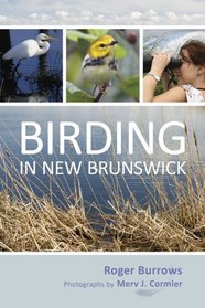 Birding in New Brunswick