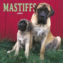 Mastiffs 2005 Wall Calendar