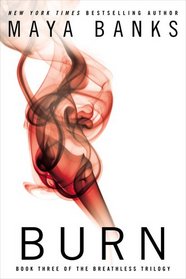 Burn (Breathless, Bk 3)