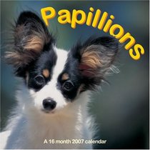 Papillions 2007 Wall Calendar