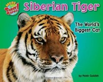 Siberian Tiger: The World's Biggest Cat (Supersized!)