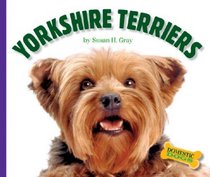 Yorkshire Terriers (Domestic Dogs)