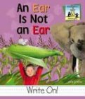 An Ear Is Not an Ear (Homonyms)