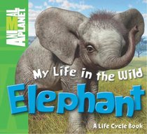 My Life in the Wild: Elephant (Animal Planet)
