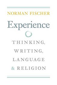 Experience: Thinking, Writing, Language, and Religion (Modern & Contemporary Poetics)