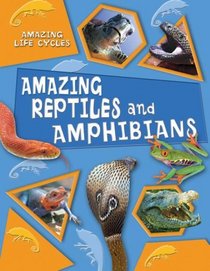 Amazing Reptiles and Amphibians (Amazing Life Cycles)