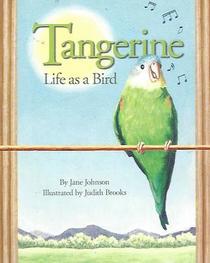 Tangerine: Life as a Bird