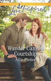 Wander Canyon Courtship (Matrimony Valley, Bk 3) (Love Inspired, No 1222)