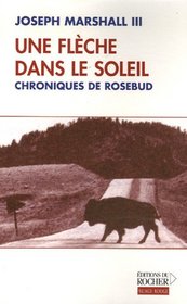 Une Flèche dans le soleil (French Edition)