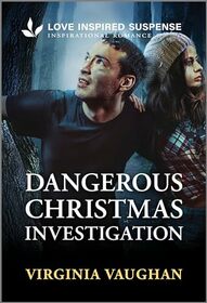 Dangerous Christmas Investigation (Lone Star Defenders, 1)