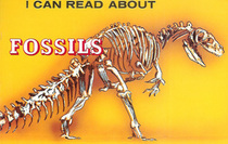 I Can Read About Fossils (I Can Read About)