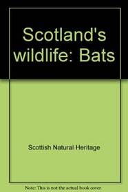 Scotland's wildlife: Bats