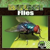 Flies (Bugs!)