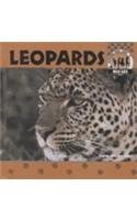 Leopards (Wild Cats)