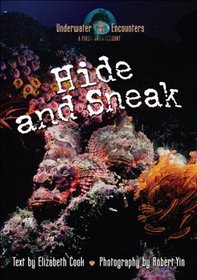 Hide and Sneak (Underwater Encounters)