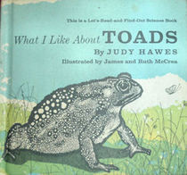 What I Like About Toads