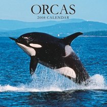 Orcas 2008 Square Wall Calendar (German, French, Spanish and English Edition)