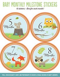 Baby Monthly Milestone Stickers: Woodland Friends (12 stickers)