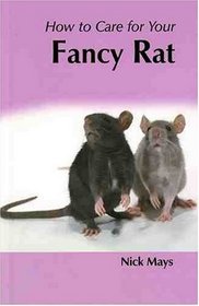 How to Care for Your Fancy Rat (Your first...series)