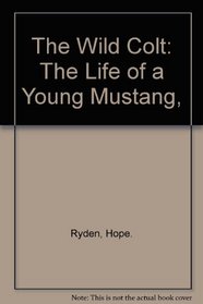 The Wild Colt: The Life of a Young Mustang,