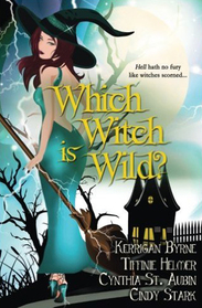 Which Witch is Wild? (The Witches of Port Townsend) (Volume 3)