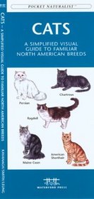 Cats: A Simplified Visual Guide ot the Most Common Breeds