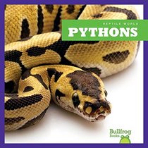 Pythons (Bullfrog Books: Reptile World)