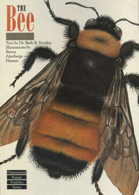 The Bee (Dimensional Nature Portfolio)