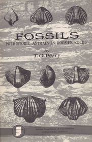 Fossils Prehistoric Animals In Hoosier Rocks