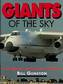 Giants of the Sky: The Biggest Aeroplanes of All Time
