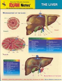Liver Laminated Card (Exam Notes)