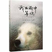 The Art of Racing in the Rain (Chinese Edition)