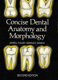 Concise Dental Anatomy and Morphology