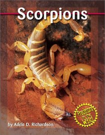 Scorpions (Predators in the Wild)