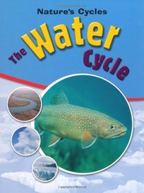 The Water Cycle (Nature Cycles)