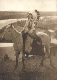 Great Plains (Native Nations Series)