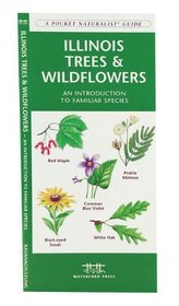 Illinois Trees & Wildflowers: An Introduction to Familiar Species (State Nature Guides)