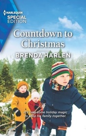 Countdown to Christmas (Match Made in Haven, Bk 13) (Harlequin Special Edition, No 2944)